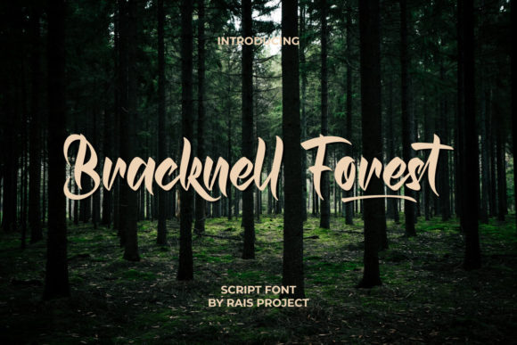 Bracknell Forest: A Premium Script Handwritten Font for Modern Web Design
