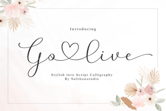 Go Live: The Handwritten Typeface That Elevates Campaign Visuals