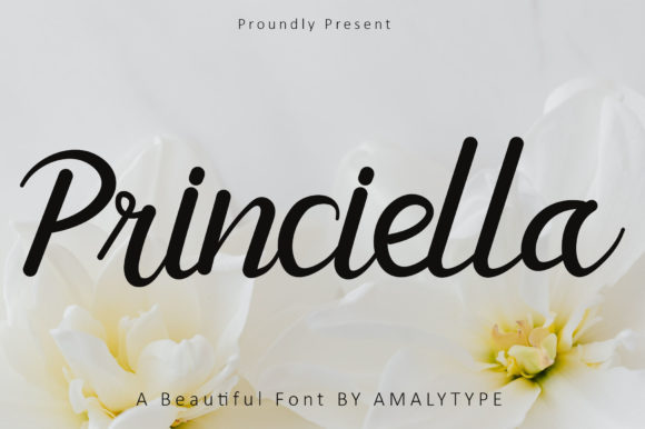 Princiella Typeface: A Luxury Script for Handmade Brands