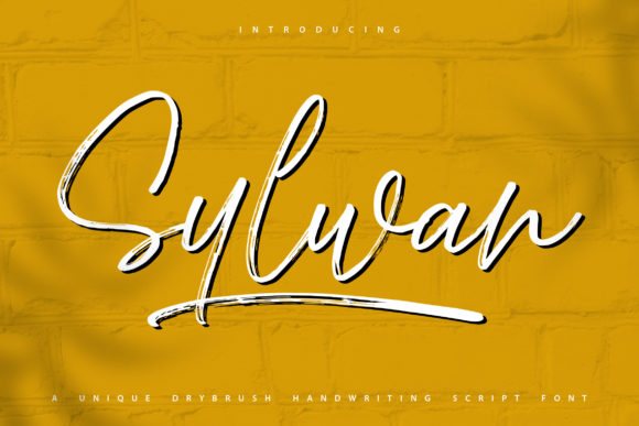 Sylwan: The Handwritten Typeface That Elevates Campaign Visuals
