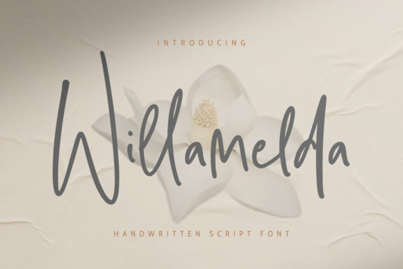 Willamelda Typeface Review: A Quirky Handwritten Font for Brand Identity
